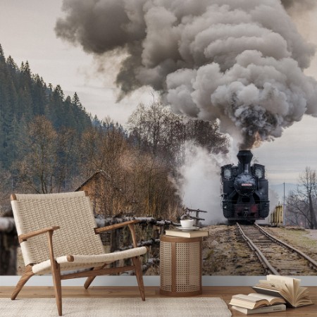 Afbeeldingen van The steam train