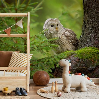 Afbeeldingen van Ural Owl