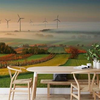 Bild på Autumn Atmosphere in Vineyards