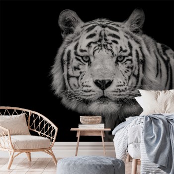 Bild på Bengal White Tiger