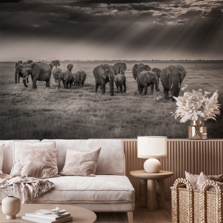 Image de Breakfast with pachyderms