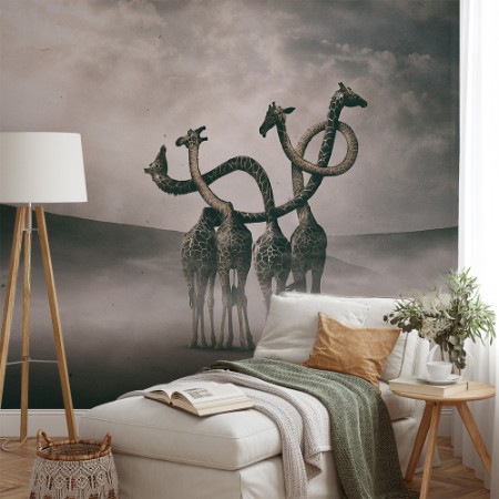 Image de Girafes embrassant