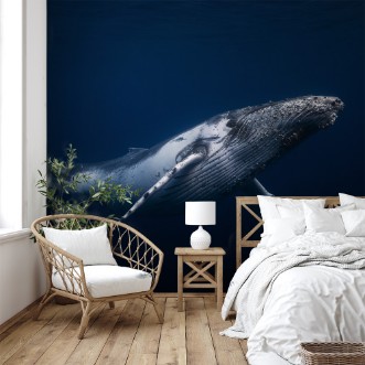 Afbeeldingen van Humpback whale in blue