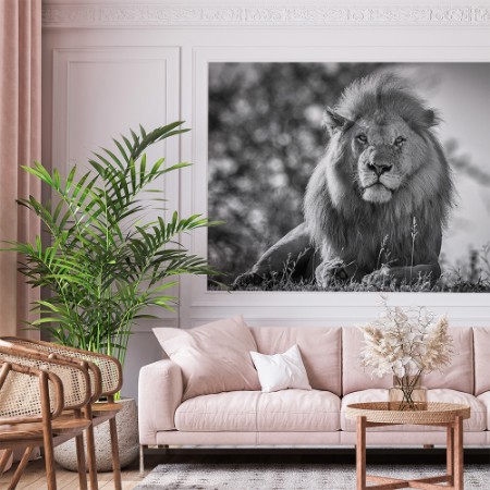 Afbeeldingen van Monochromatic lion king