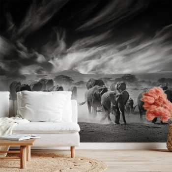 Bild på The sky, the dust and the elephants