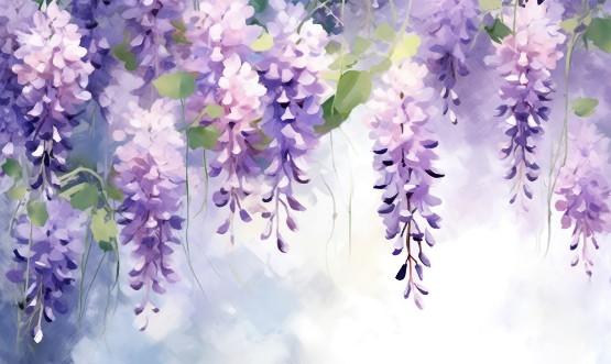Image de Flowery Drape