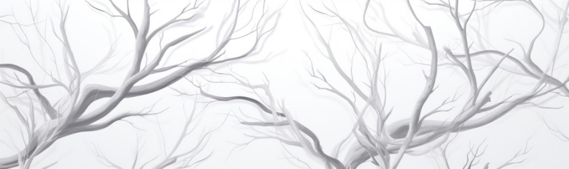 Image de Tangled Branches