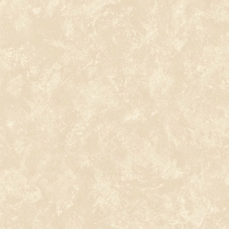 Picture of Beige Textured Plain - SK10036