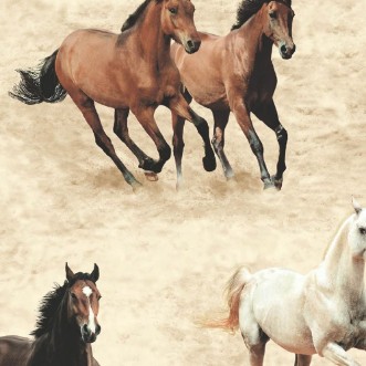 Afbeeldingen van Stone Galloping Horses - SK10037