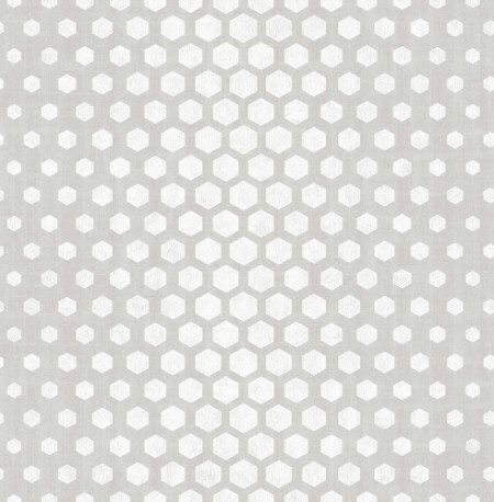 Picture of Grey Hexagon Ombre - DE41816