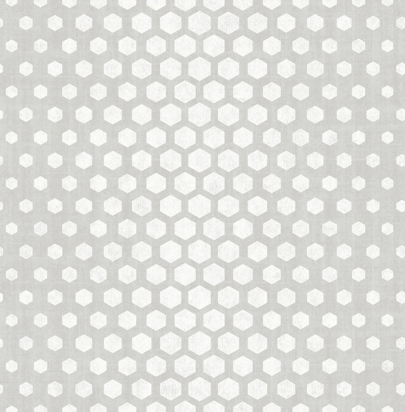 Afbeeldingen van Grey Hexagon Ombre - DE41816