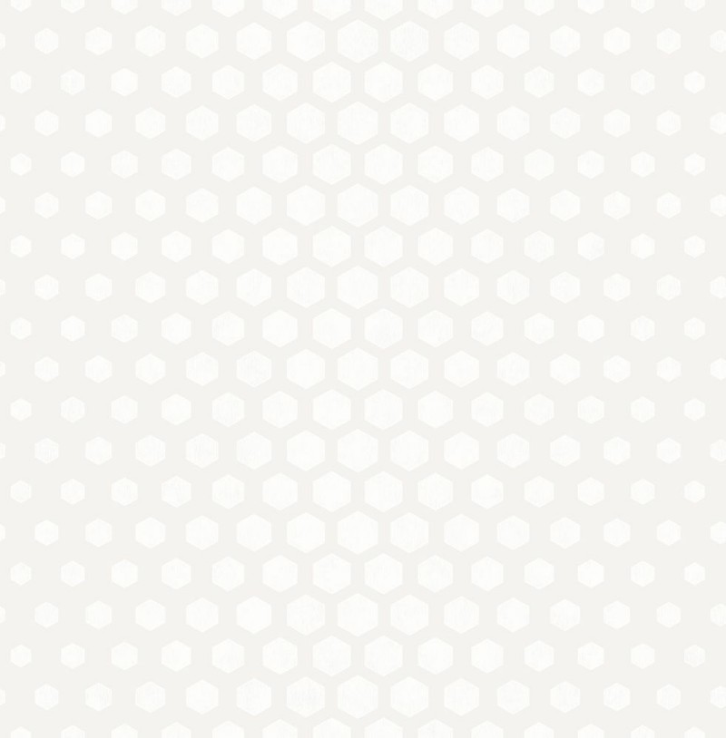 Picture of White Hexagon Ombre - DE41859