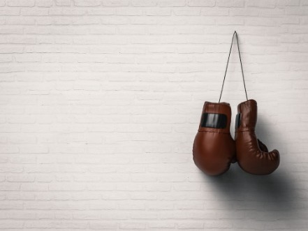 Picture of Boxing gloves on white wall