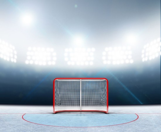 Ice Hockey Goal in Stadium photowallpaper Scandiwall