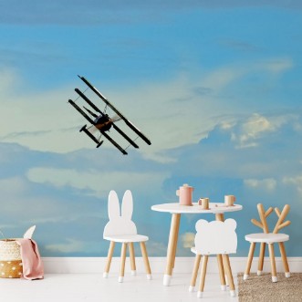 Picture of Antique Plane Flying on Blue Sky