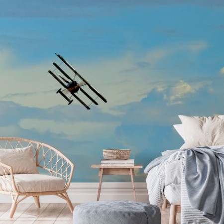 Picture of Antique Plane Flying on Blue Sky