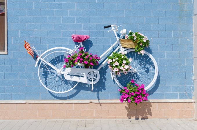 Picture of Vintage Bicycle with Flower Cecoration