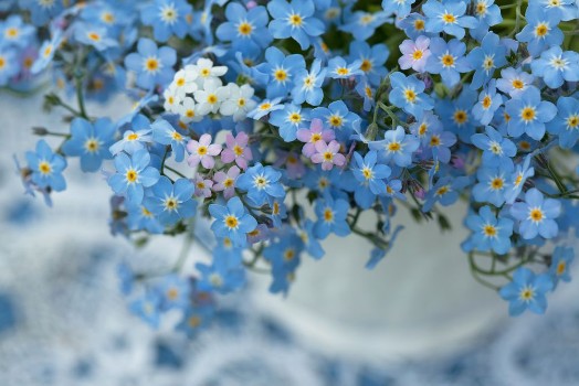 Bild på Flowers in a Vase