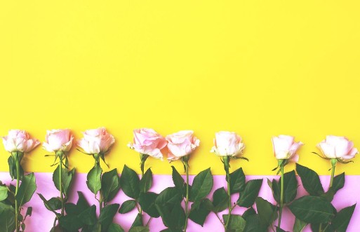 Image de Pink and Yellow