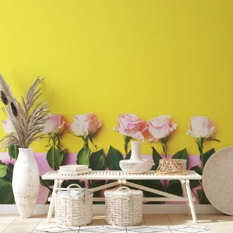 Image de Pink and Yellow