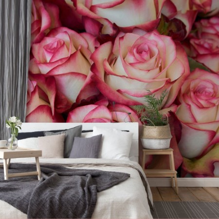 Picture of Heap of Roses