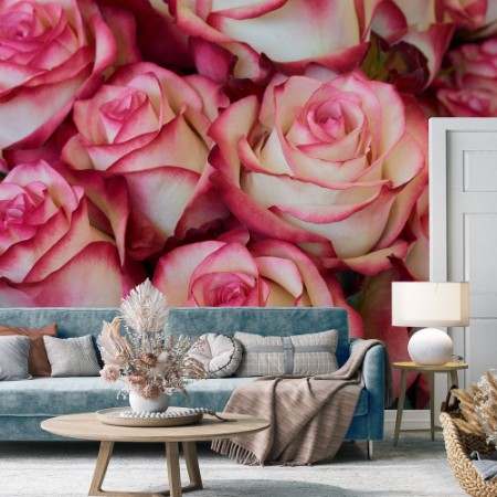 Picture of Heap of Roses