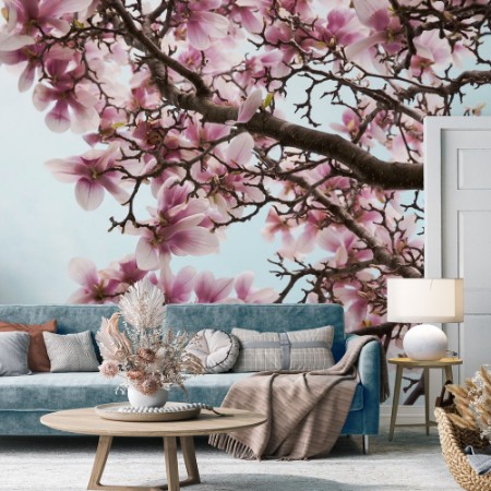 Image de Magnolia Flowers