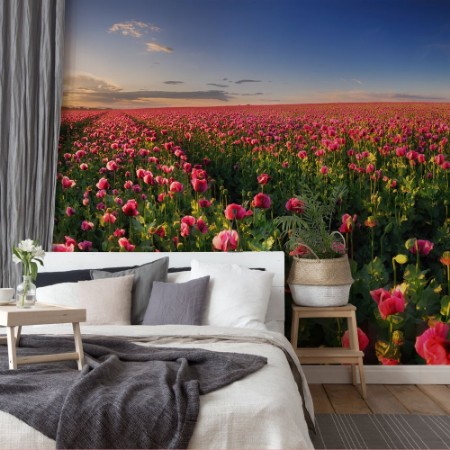 Picture of Poppy Field