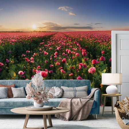 Image de Poppy Field