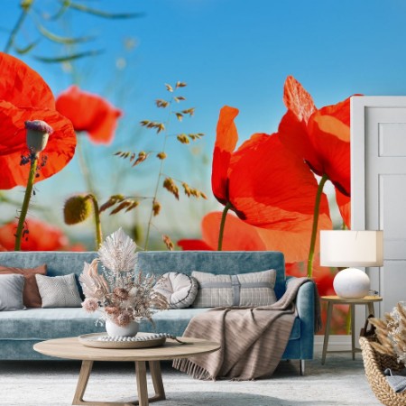 Image de Poppies