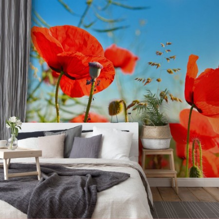 Picture of Poppies