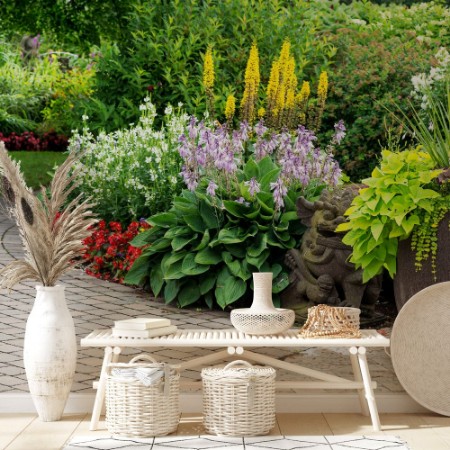 Image de Summer Garden