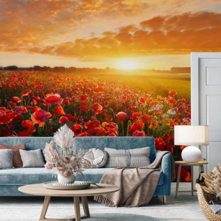 Image de Sunrise Poppy Field