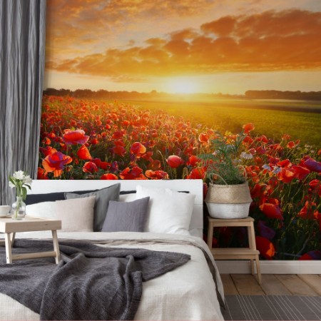 Image de Sunrise Poppy Field