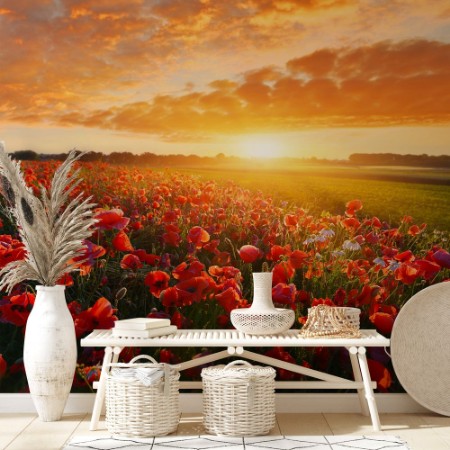 Image de Sunrise Poppy Field