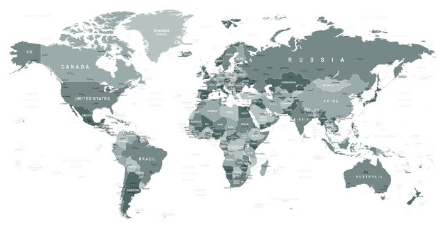 Afbeeldingen van Grayscale World Map