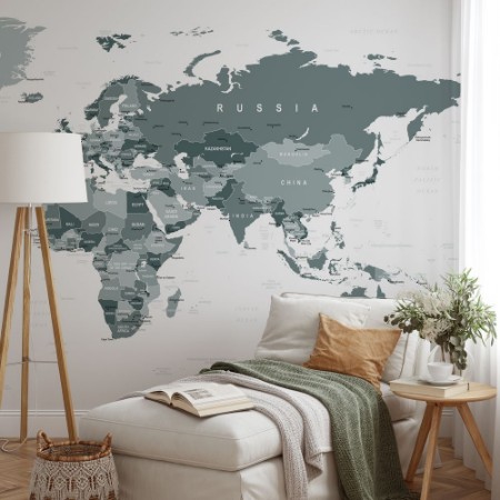 Picture of Grayscale World Map