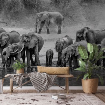Bild på Elephant Family