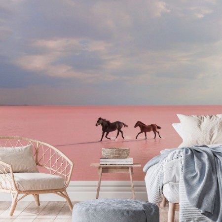 Afbeeldingen van Pink Salt Lake