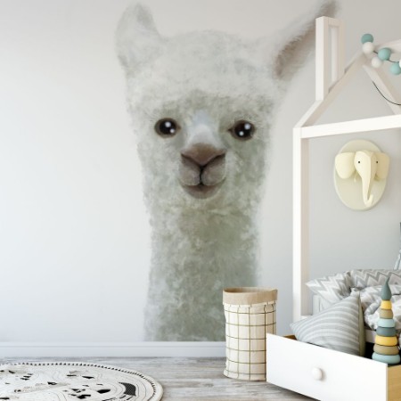 Image de Llama