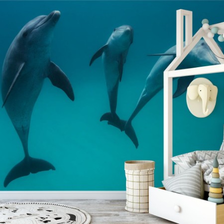 Picture of Bottlenose Dolphins