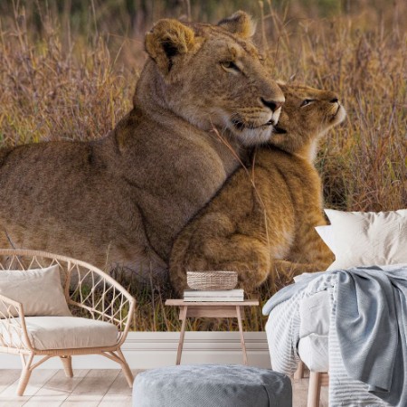 Picture of Baby Lion with Mother