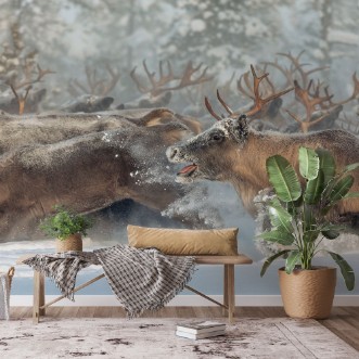 Image de Reindeers III