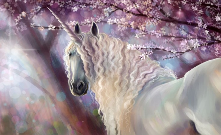 Bild på Unicorn