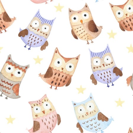 Picture of Happy Owls