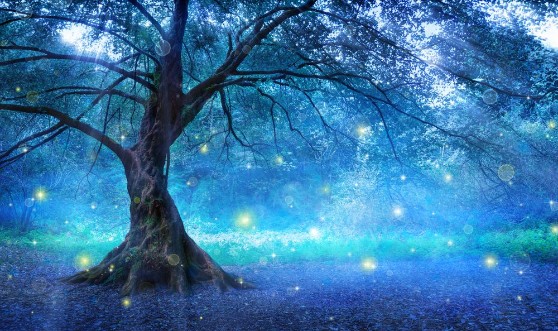 Afbeeldingen van Mystical Tree