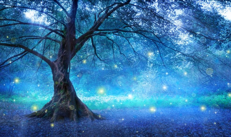 Picture of Mystical Tree