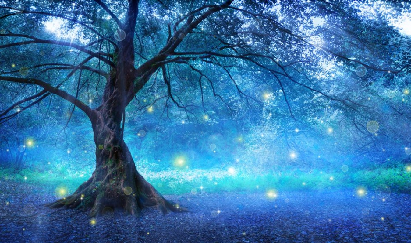 Afbeeldingen van Mystical Tree