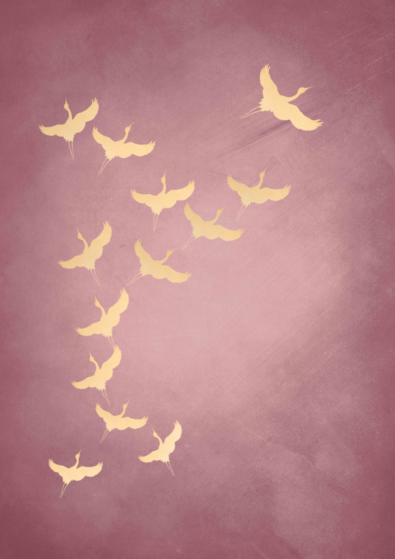 Afbeeldingen van Pink Flying Cranes