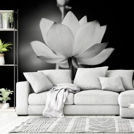 Image de White Lotus Flower